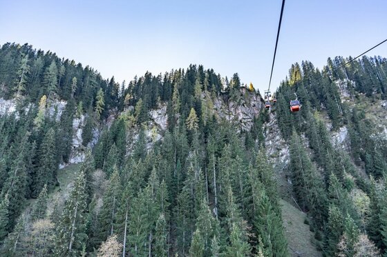 Hahnenkammbahn im Herbst Eine rote Gondel der Seilbahn schwebt über einem dichten Nadelwald an einem steilen Berghang.