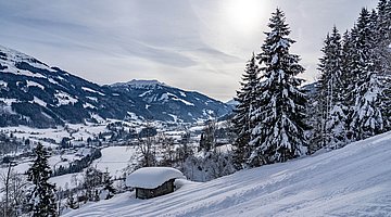 Landscape around the Pengelstein 