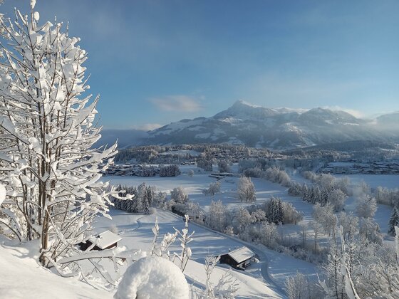 Verschneite Tallandschaft mit schneebedeckten Bäumen im Vordergrund und Bergen im Hintergrund unter blauem Himmel.