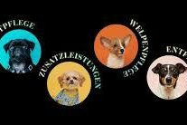 Doggrooming Vier stilisierte Hunde-Illustrationen in bunten Kreisen, umgeben von Text. Die Begriffe beschreiben verschiedene Dienstleistungen für Hunde: Komplettpflege, Zusatzleistungen, Welpenpflege und Entfilzen.