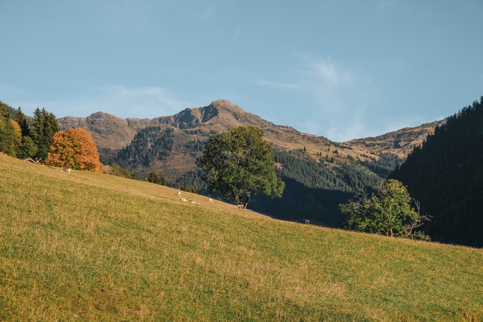 Mountain panorama