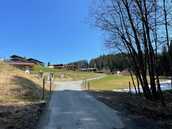 Weg zur Rettenberg Runde Asphaltierter Weg führt an einer Wiese vorbei zu Häusern am Waldrand unter blauem Himmel.