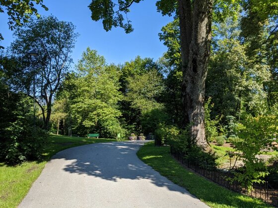 Parkweg in Kitzbühel Asphaltierter Spazierweg in einer Parkanlage mit großen Laubbäumen und einer Parkbank unter blauem Himmel.