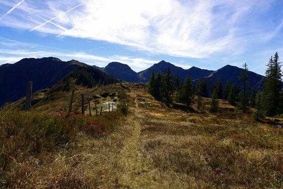 Wanderweg am Tristkogel Schmaler Wanderpfad auf einem grasbewachsenen Bergrücken mit Blick auf dunkle Berggipfel unter blauem Himmel.
