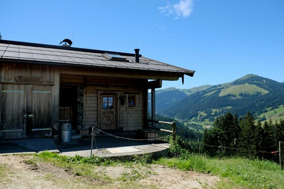 Berghütte Jochberg Ost Rustikale Holzhütte vor bewaldeten Bergen und blauem Himmel.