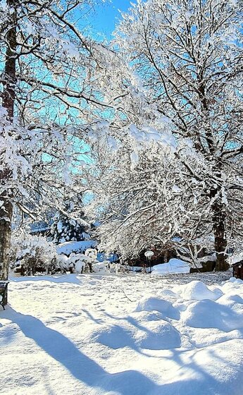 Garten Villa Alpenblick im Winter