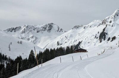Winterweg zur Trattenbachalm Verschneiter Winterwanderweg in den Alpen mit einer Holzhütte und Nadelbäumen vor schneebedeckten Berggipfeln.