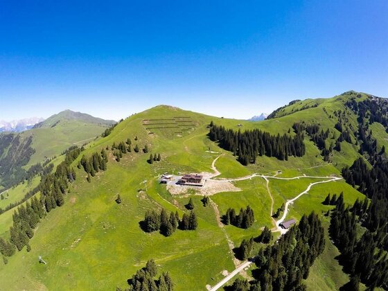Bichlalm Luftbild 2 Luftaufnahme des Alpengasthofs Bichlalm auf einem grünen Bergrücken mit Wanderwegen und Nadelbäumen.