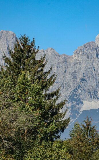 Ausblick Wilder Kaiser