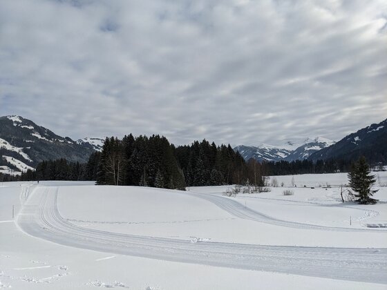 Präparierte Langlaufloipe in einer verschneiten Ebene vor Nadelwald und Bergen unter bewölktem Himmel.