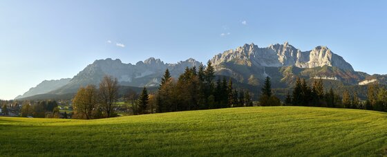 Blick auf das Kaisergebirge Panoramaaufnahme eines schroffen Gebirgsmassivs hinter einer grünen Wiese und Nadelbäumen unter blauem Himmel.