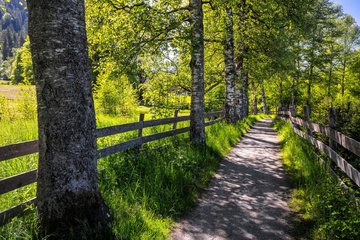 Weg neben Feldern