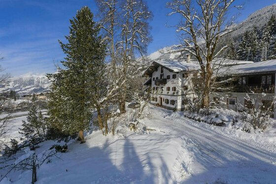 Verschneites, mehrstöckiges Alpenhaus mit dunklen Fensterläden hinter Bäumen bei blauem Himmel.