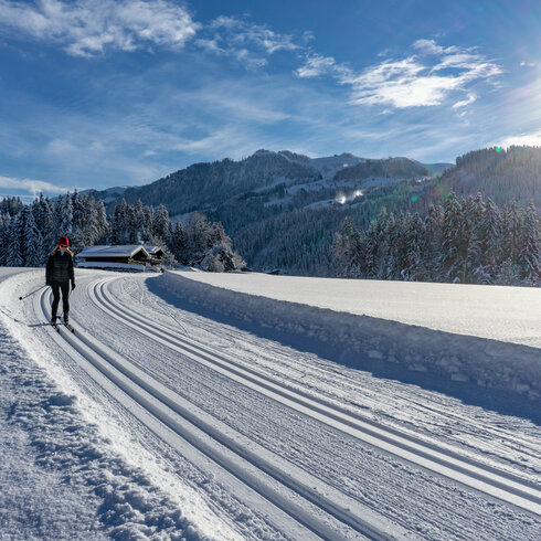 During a cross-country skiing trip in Kitzbühel, a skier glides along a perfectly groomed trail through a snow-covered landscape dotted with trees and mountains.