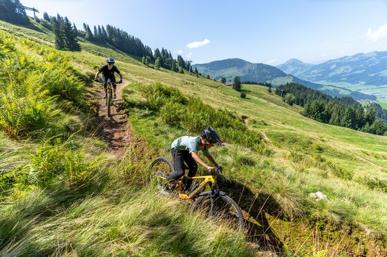 Sehnsuchtsort vieler Enduro Enthusiasten - der legendäre Fleckalm Trail (Great 5 Tirol!) Sehnsuchtsort vieler Enduro Enthusiasten - der legendäre Fleckalm Trail (Great 5 Tirol!)