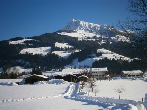 Verschneite Berglandschaft mit Bauernhof und bewaldeten Hängen unter blauem Himmel.
