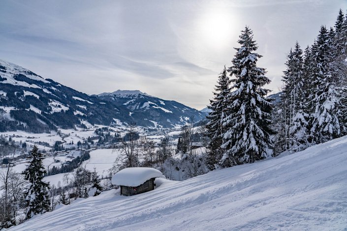 Landscape around the Pengelstein 