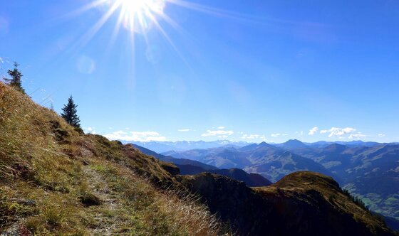 Bergpfad im Wildpark Ein schmaler Bergpfad an einem grasbewachsenen Hang unter strahlend blauem Himmel mit Blick auf ferne Berggipfel.