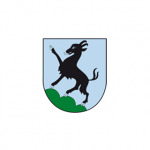 Logo Stadt Kitzbühel