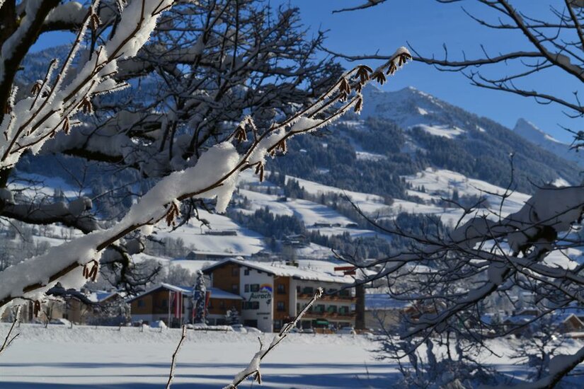Verschneite Äste im Vordergrund mit Blick auf das Hotel Aurach und winterliche Berge.