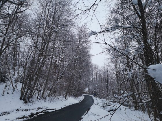 Winterlicher Waldweg bei Hagstein Asphaltierte Straße führt durch einen verschneiten Laubwald.