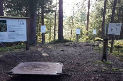 Ein Waldareal mit mehreren Informationsschildern. In der Mitte steht eine Plattform, umgeben von hohen Bäumen und Sonnenlicht.