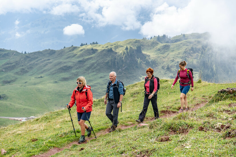 A hiking guide takes three guests into the mountains