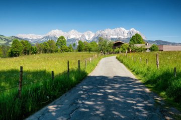 Straße durch Felder