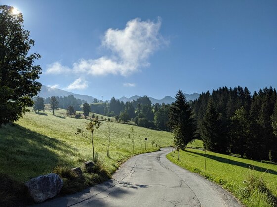 Wanderweg auf der KAT Walk Etappe Asphaltierter Wanderweg führt durch grüne Almwiesen und Nadelwald unter blauem Himmel.