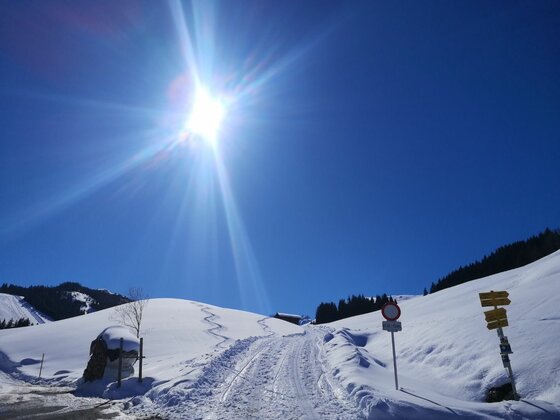 Winterwanderweg zur Bruggeralm Verschneiter Wanderweg mit Wegweisern unter blauem Himmel und strahlender Sonne.