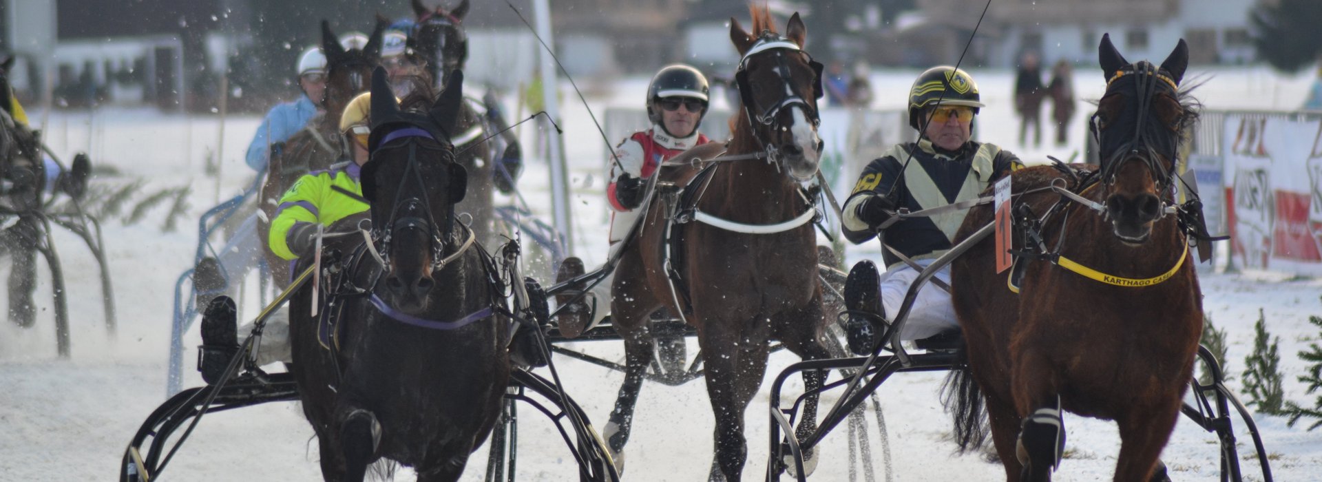 Harness Horse Racing 3 Horses competing