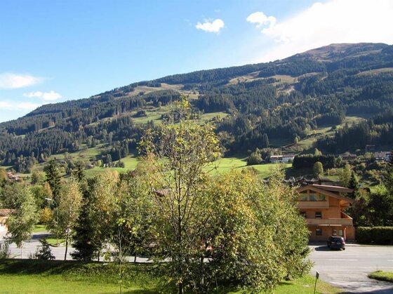 Balkonaussicht im Sommer Blick von einem Balkon auf bewaldete Berghänge, Wiesen und Wohnhäuser unter blauem Himmel.