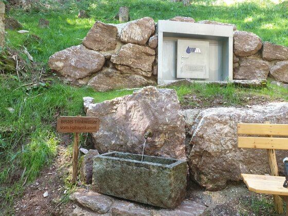 Trinkwasserbrunnen am Kreuzweg Ein steinerner Brunnen mit Holztrog vor einer Felswand im Wald.