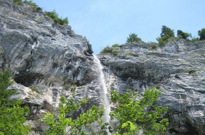 Ein Wasserfall fließt über eine steile Felswand. Darunter wachsen grüne Pflanzen in der Nähe des Wassers.