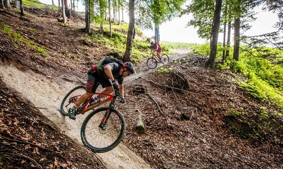 Mountainbiker auf dem Lisi Osl Trail Zwei Mountainbiker fahren auf einem schmalen Waldpfad bergab.