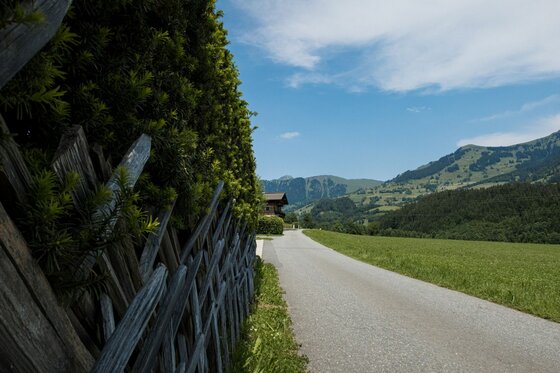 Wanderweg bei Kochau-Hechenmoos Asphaltierter Weg neben einem Holzzaun und einer Hecke mit Blick auf grüne Wiesen und bewaldete Berge.