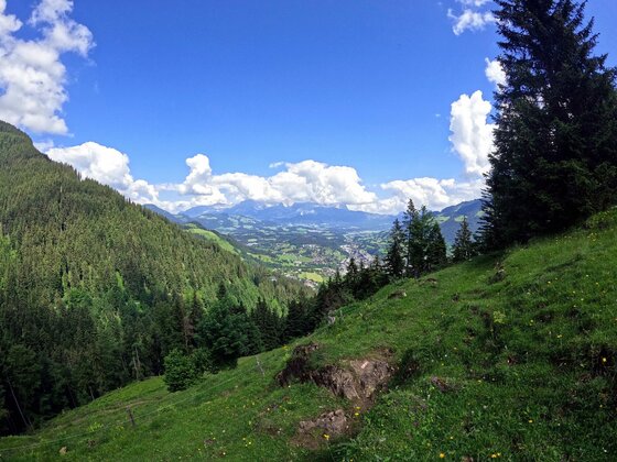 Aussicht vom Gschwandbaum Blick von einem grünen Grashang über ein bewaldetes Tal auf eine Ortschaft und entfernte Berge unter blauem Himmel.