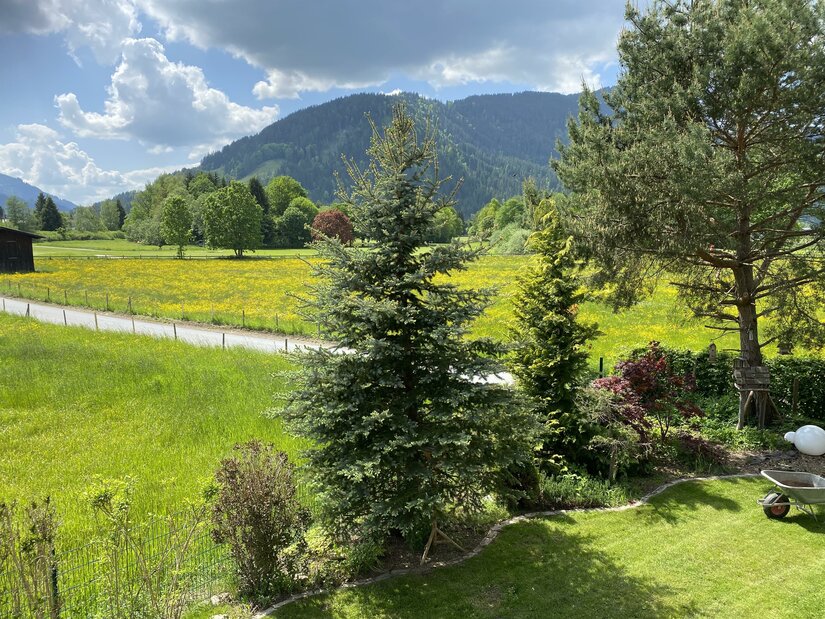 Ausblick - Gartenblick -GB Ein malerischer Garten mit verschiedenen Bäumen und einem blühenden Feld im Hintergrund. Die Landschaft wird von sanften Hügeln und einem bewölkten Himmel umrahmt.