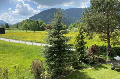 Ein malerischer Garten mit verschiedenen Bäumen und einem blühenden Feld im Hintergrund. Die Landschaft wird von sanften Hügeln und einem bewölkten Himmel umrahmt.