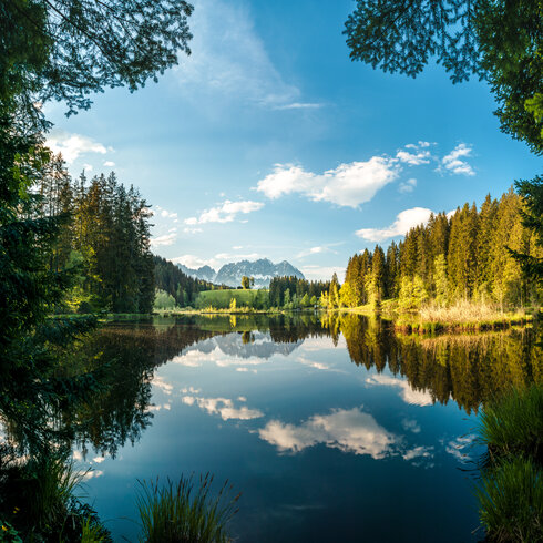 The Gieringer Pond near Reith, near Kitzbühel
