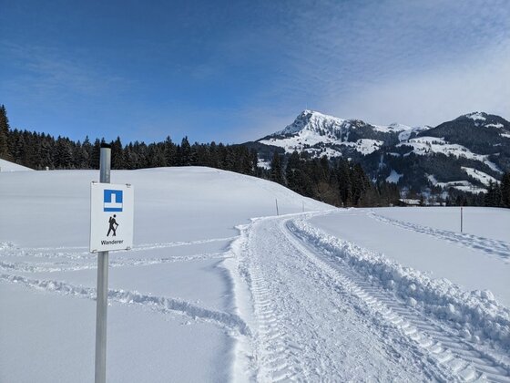 Winterwanderweg im Bichlach Ein präparierter Winterwanderweg führt durch eine verschneite Landschaft mit Hinweisschild und Bergen im Hintergrund.