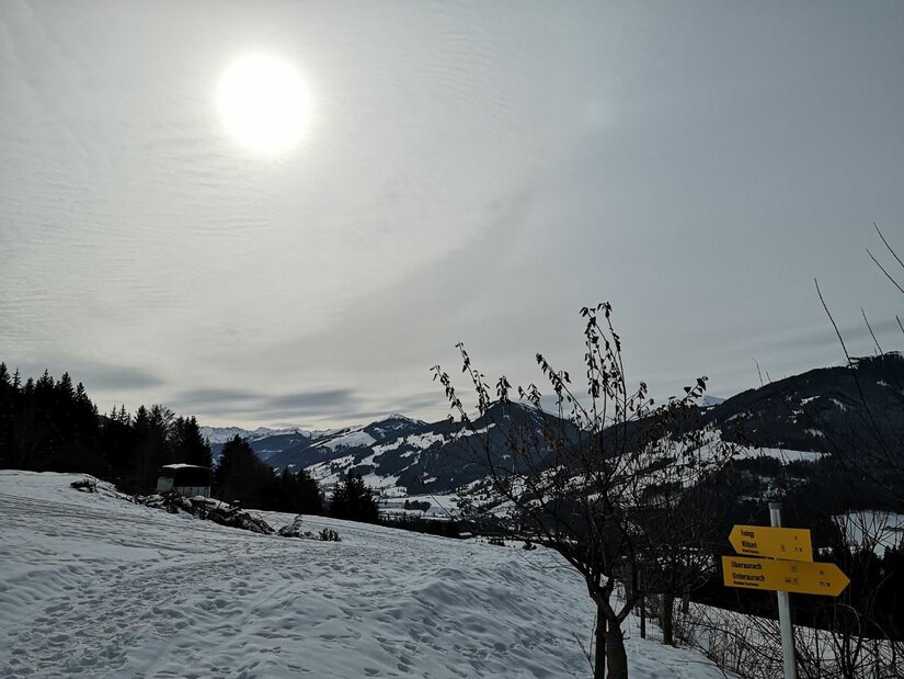 Wanderwegweiser bei Buchau im Winter Verschneiter Hang mit gelben Wegweisern vor bewaldeten Bergen unter hellem Himmel.