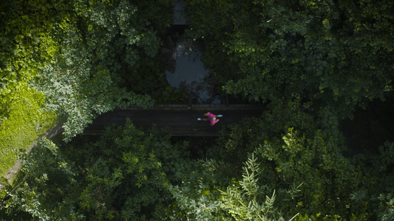 Laufen im Wald Luftaufnahme einer Person in pinker Sportkleidung auf einer Holzbrücke über einem Bach im dichten Wald.