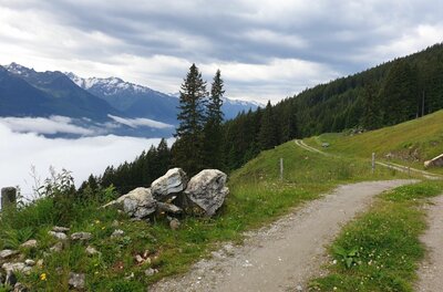Wanderweg an der Resterhöhe Schotterweg am Grashang mit Blick auf bewaldete Berge und ein Wolkenmeer im Tal unter bewölktem Himmel.