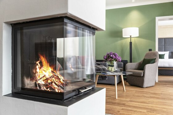 Brennendes Kaminfeuer hinter Glas in einem modern eingerichteten Wohnzimmer mit Sessel und Couch.