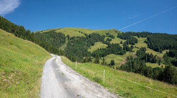 Weg am Berg
