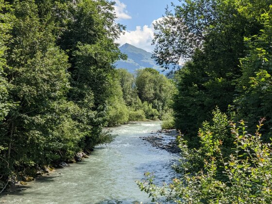 Flusslauf bei Malerndörfl Ein fließender Fluss zwischen dichten grünen Bäumen mit einem Berggipfel im Hintergrund unter blauem Himmel.