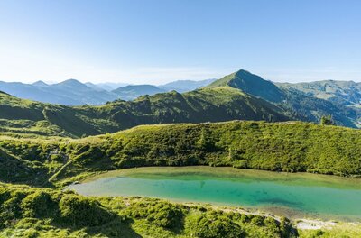 Ein türkisblauer Bergsee umgeben von grünen Almwiesen und Berggipfeln unter blauem Himmel.