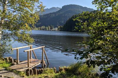 Holzsteg an einem Bergsee mit bewaldeten Bergen im Hintergrund unter blauem Himmel.