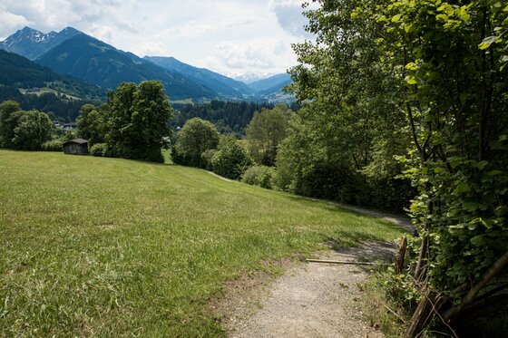 Wanderweg an der Sonnbergschleife Schmaler Wanderweg führt über eine grüne Wiese in Richtung bewaldeter Berge unter bewölktem Himmel.